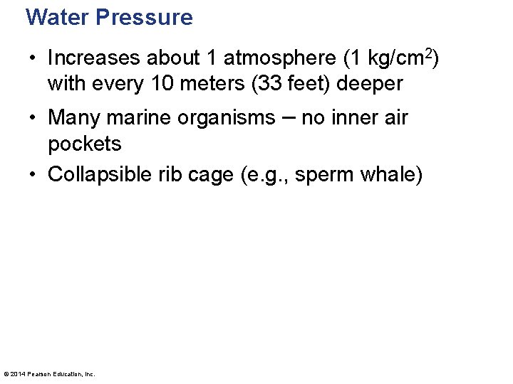 Water Pressure • Increases about 1 atmosphere (1 kg/cm 2) with every 10 meters