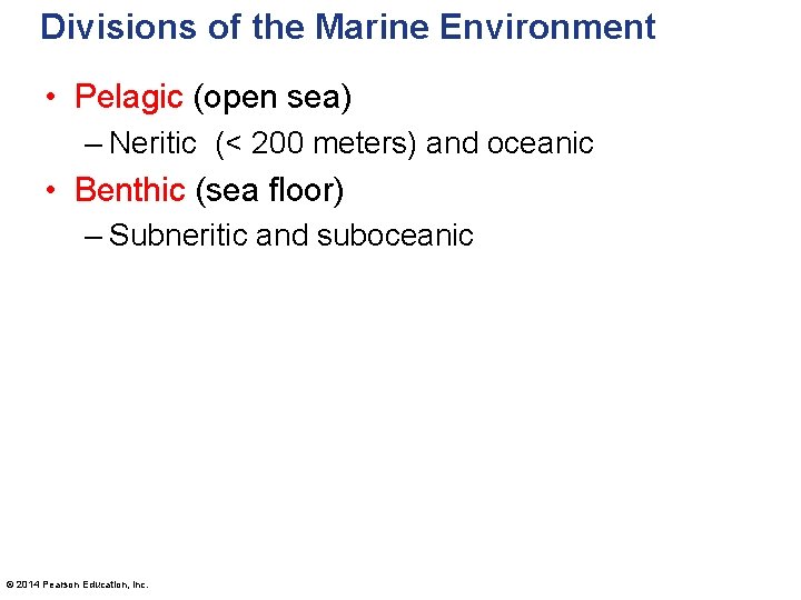 Divisions of the Marine Environment • Pelagic (open sea) – Neritic (< 200 meters)