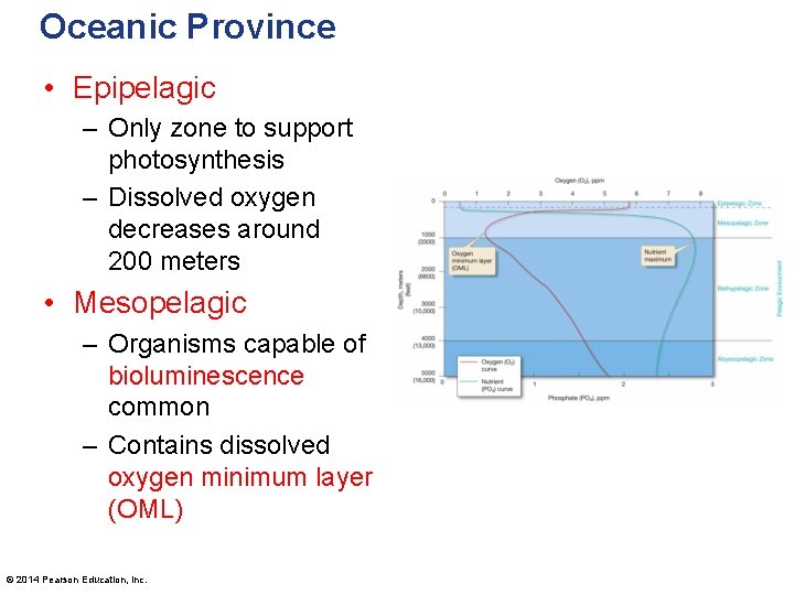 Oceanic Province • Epipelagic – Only zone to support photosynthesis – Dissolved oxygen decreases