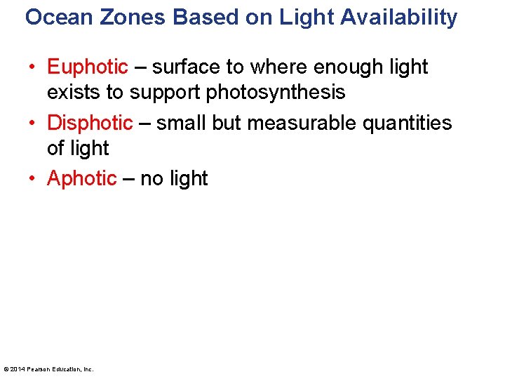 Ocean Zones Based on Light Availability • Euphotic – surface to where enough light