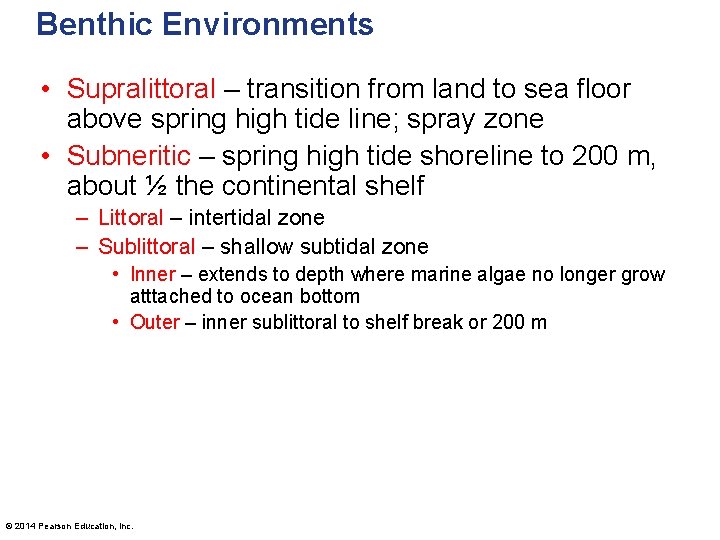 Benthic Environments • Supralittoral – transition from land to sea floor above spring high