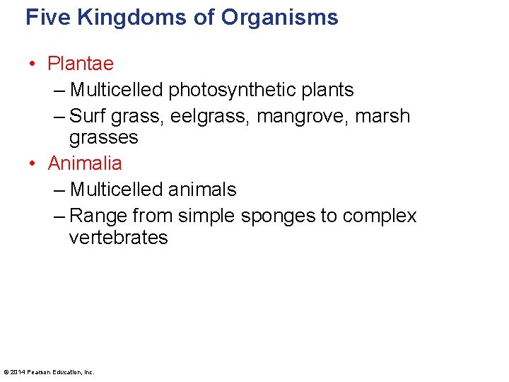 Five Kingdoms of Organisms • Plantae – Multicelled photosynthetic plants – Surf grass, eelgrass,