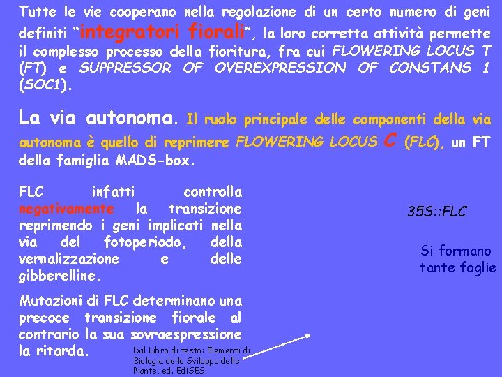 Tutte le vie cooperano nella regolazione di un certo numero di geni definiti “integratori