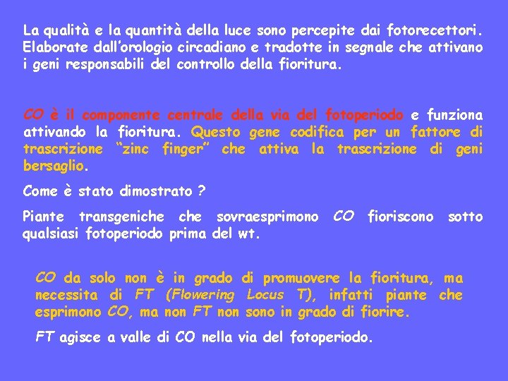 La qualità e la quantità della luce sono percepite dai fotorecettori. Elaborate dall’orologio circadiano