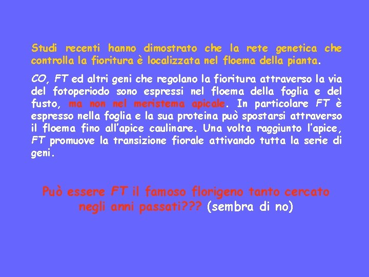 Studi recenti hanno dimostrato che la rete genetica che controlla la fioritura è localizzata