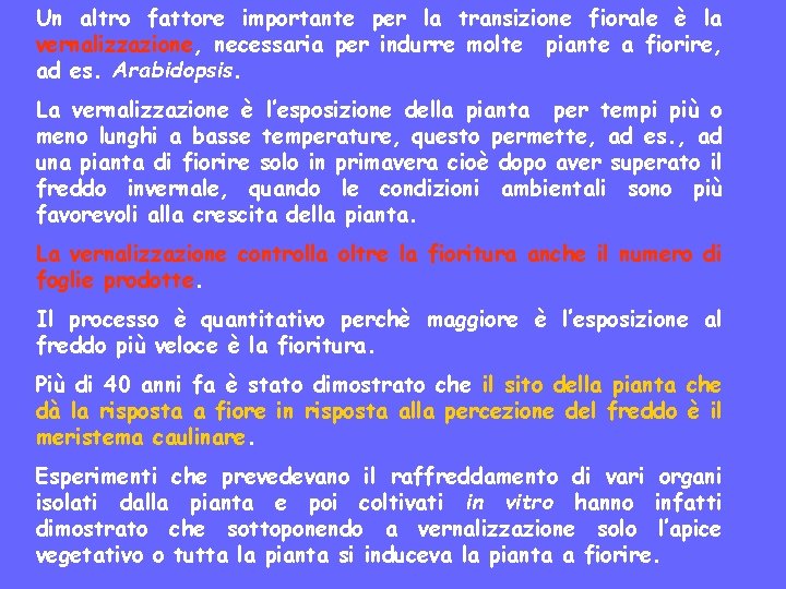 Un altro fattore importante per la transizione fiorale è la vernalizzazione, necessaria per indurre