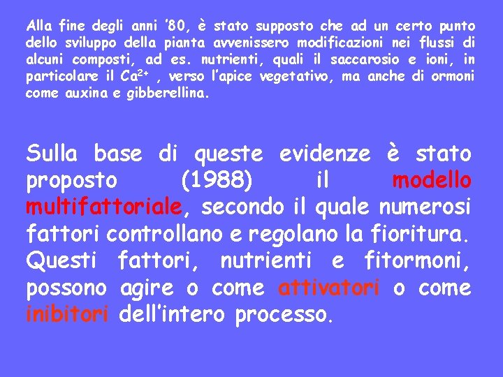 Alla fine degli anni ’ 80, è stato supposto che ad un certo punto