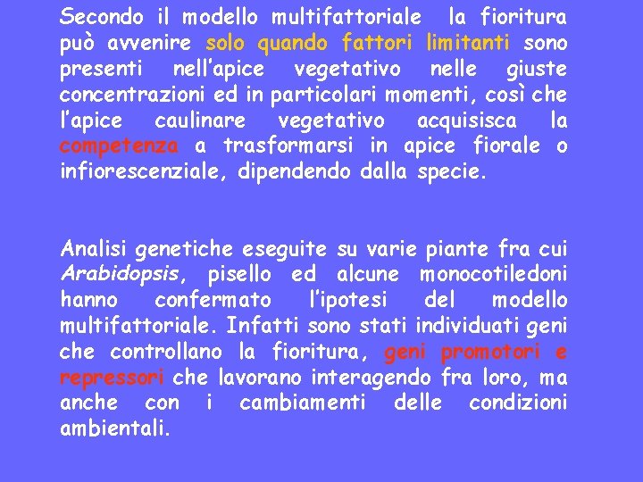 Secondo il modello multifattoriale la fioritura può avvenire solo quando fattori limitanti sono presenti