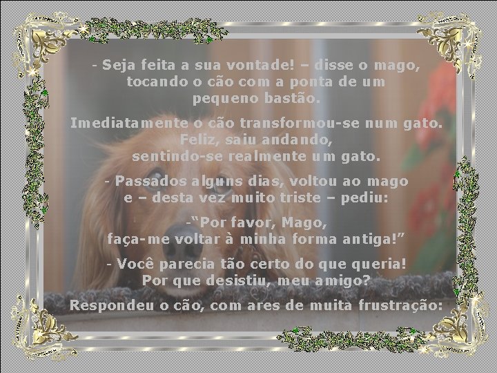 - Seja feita a sua vontade! – disse o mago, tocando o cão com