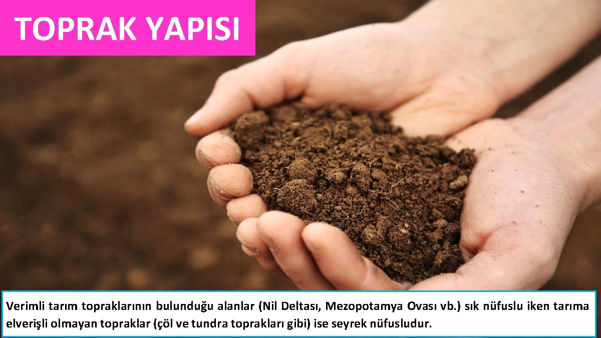 TOPRAK YAPISI Verimli tarım topraklarının bulunduğu alanlar (Nil Deltası, Mezopotamya Ovası vb. ) sık