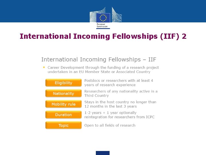 International Incoming Fellowships (IIF) 2 