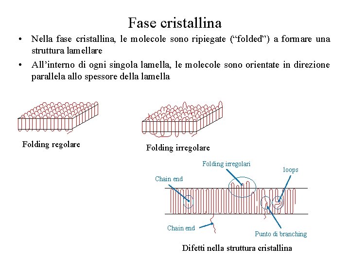 Fase cristallina • Nella fase cristallina, le molecole sono ripiegate (“folded”) a formare una