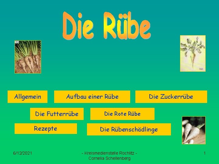 Allgemein Aufbau einer Rübe Die Futterrübe Rezepte 6/12/2021 Die Zuckerrübe Die Rote Rübe Die