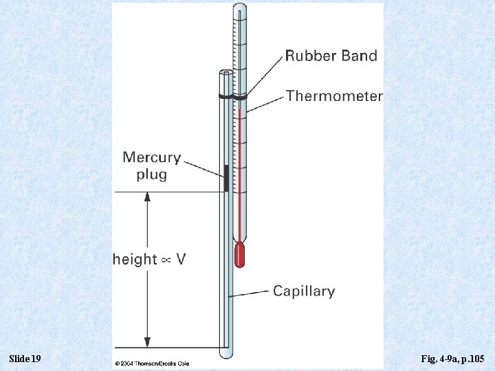 Slide 19 Fig. 4 -9 a, p. 105 Slide 19 Fig. 4 -9 a, p. 105