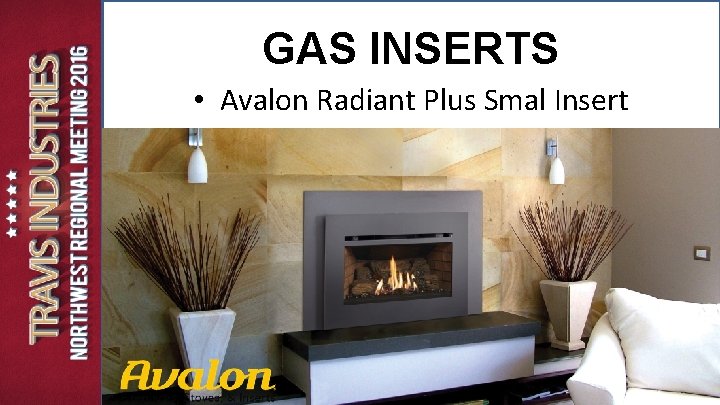 GAS INSERTS • Avalon Radiant Plus Smal Insert GAS INSERTS • Avalon Radiant Plus Smal Insert