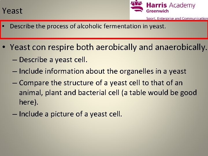 Yeast • Describe the process of alcoholic fermentation in yeast. • Yeast con respire