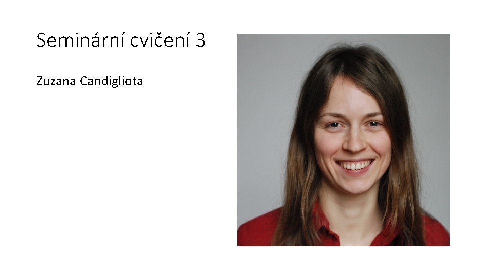 Seminární cvičení 3 Zuzana Candigliota 