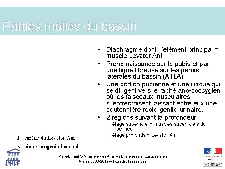 Parties molles du bassin • Diaphragme dont l ’élément principal = muscle Levator Ani