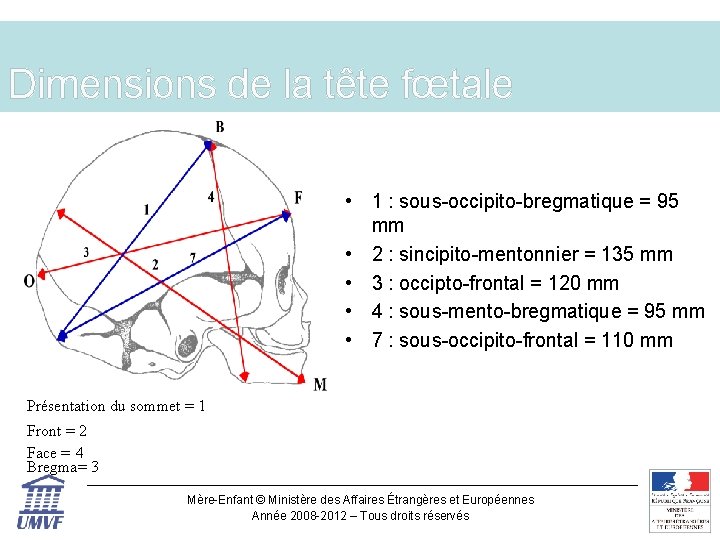 Dimensions de la tête fœtale • 1 : sous-occipito-bregmatique = 95 mm • 2