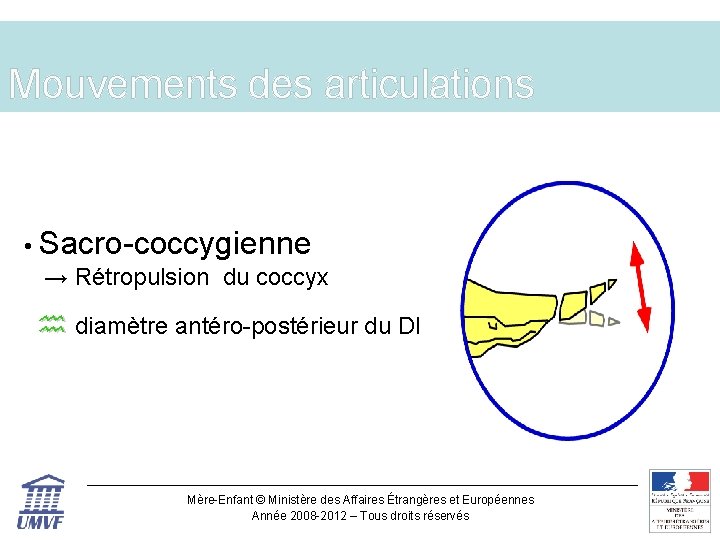 Mouvements des articulations • Sacro-coccygienne → Rétropulsion du coccyx diamètre antéro-postérieur du DI Mère-Enfant