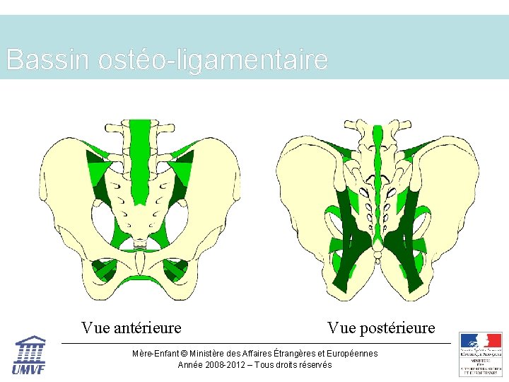 Bassin ostéo-ligamentaire Vue antérieure Vue postérieure Mère-Enfant © Ministère des Affaires Étrangères et Européennes