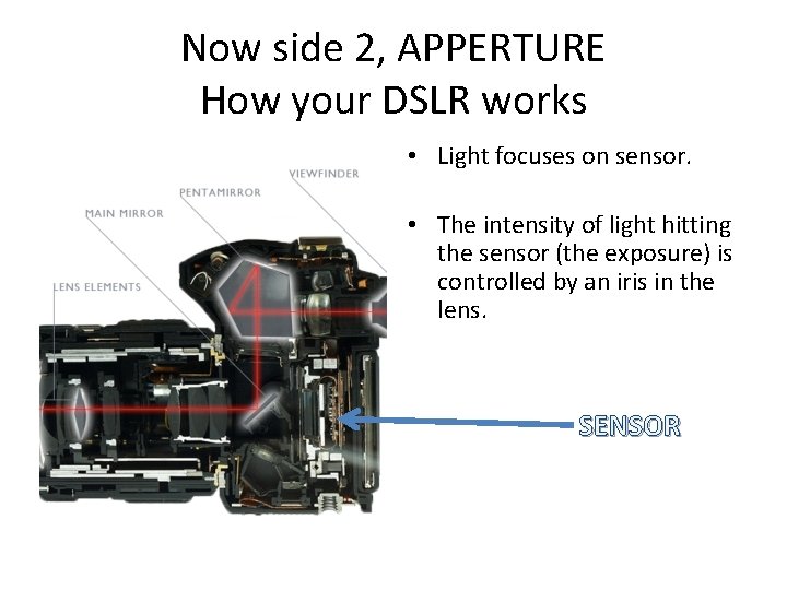 Now side 2, APPERTURE How your DSLR works • Light focuses on sensor. •