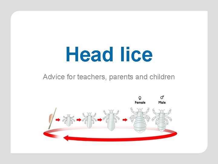 Head lice Advice for teachers, parents and children 