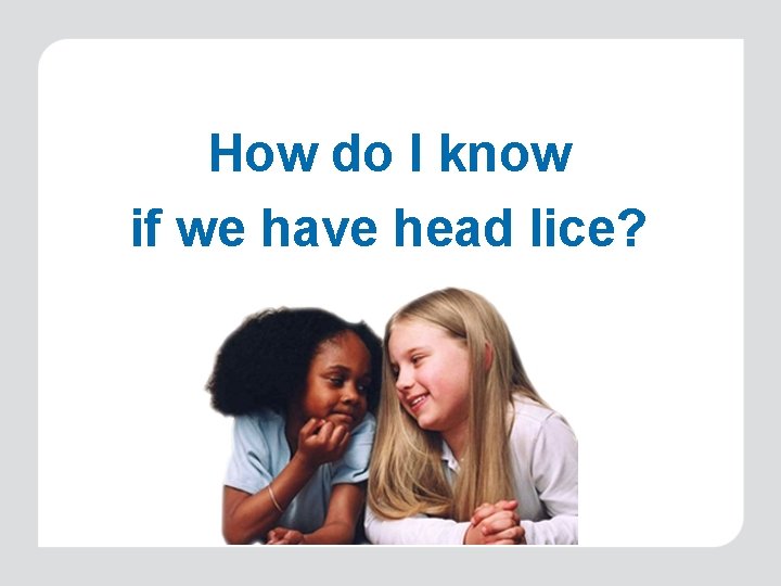 How do I know if we have head lice? 