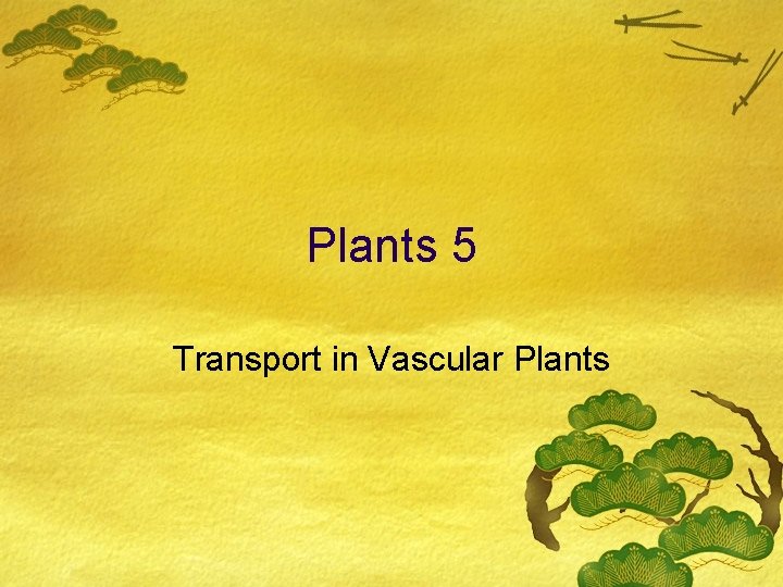 Plants 5 Transport in Vascular Plants 