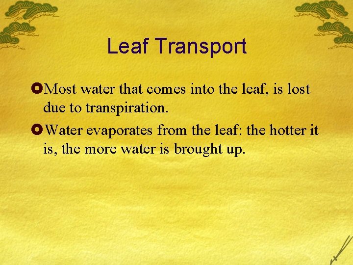 Leaf Transport £Most water that comes into the leaf, is lost due to transpiration.