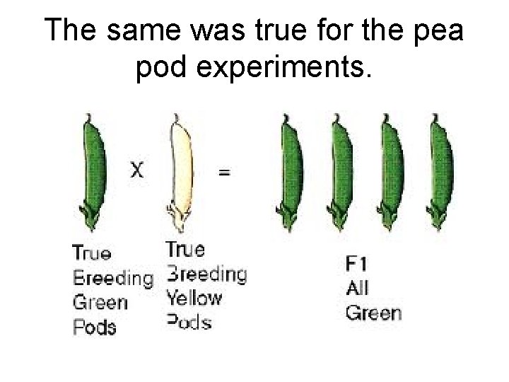 The same was true for the pea pod experiments. 