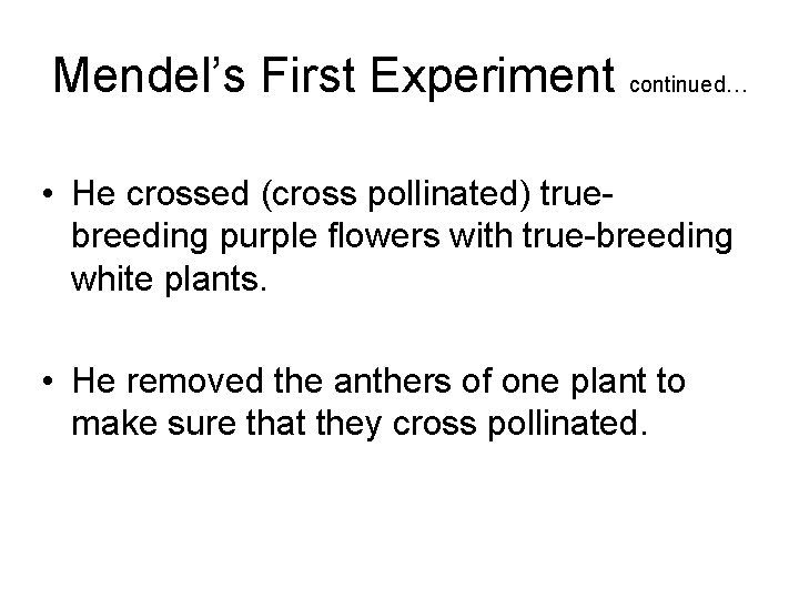 Mendel’s First Experiment continued… • He crossed (cross pollinated) truebreeding purple flowers with true-breeding