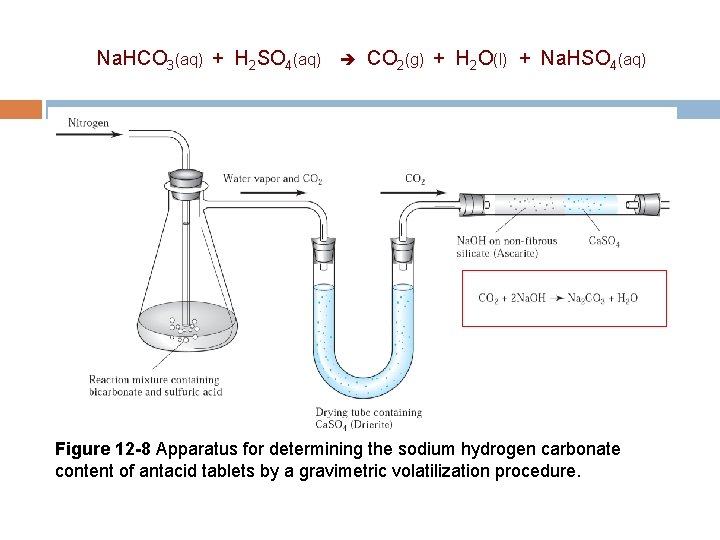 Na. HCO 3(aq) + H 2 SO 4(aq) CO 2(g) + H 2 O(l)