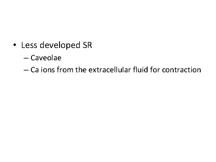  • Less developed SR – Caveolae – Ca ions from the extracellular fluid