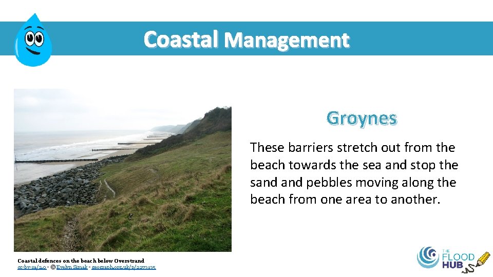 Coastal Management Groynes These barriers stretch out from the beach towards the sea and