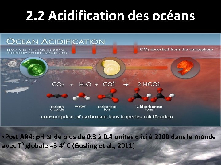 2. 2 Acidification des océans • Post AR 4: p. H ↘ de plus