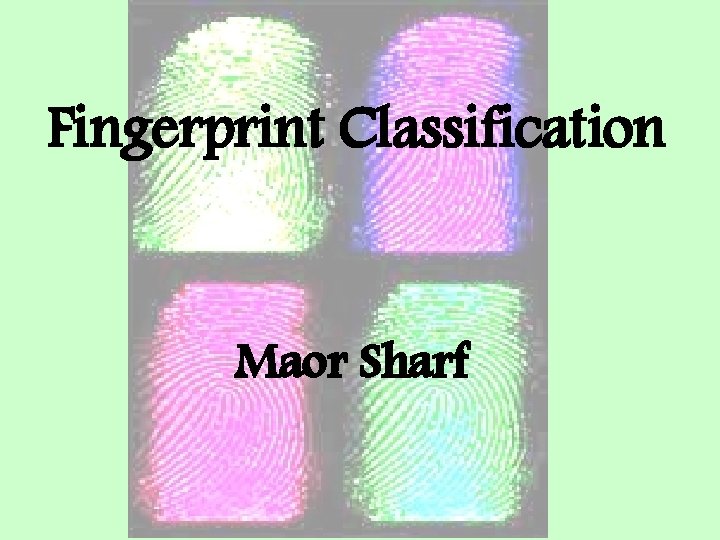 Fingerprint Classification Maor Sharf 