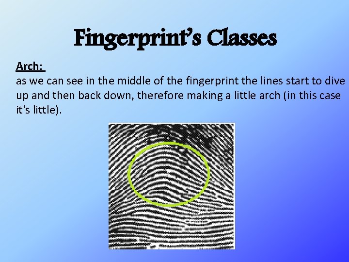 Fingerprint’s Classes Arch: as we can see in the middle of the fingerprint the