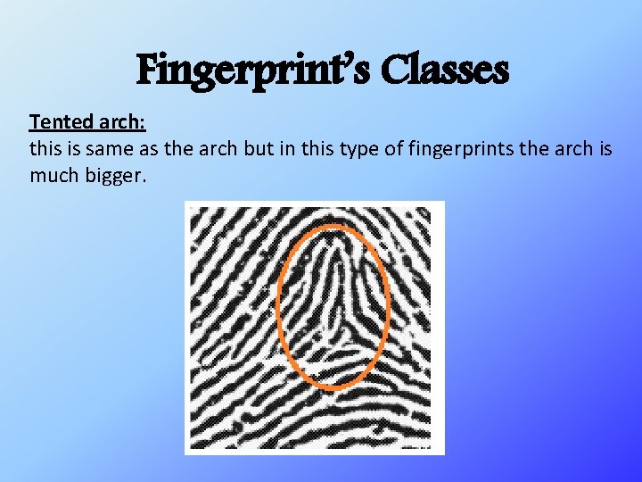 Fingerprint’s Classes Tented arch: this is same as the arch but in this type