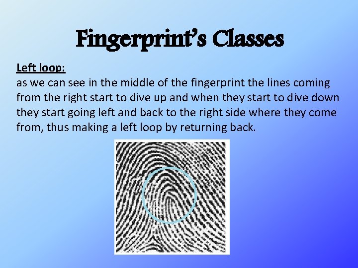 Fingerprint’s Classes Left loop: as we can see in the middle of the fingerprint