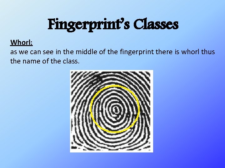 Fingerprint’s Classes Whorl: as we can see in the middle of the fingerprint there