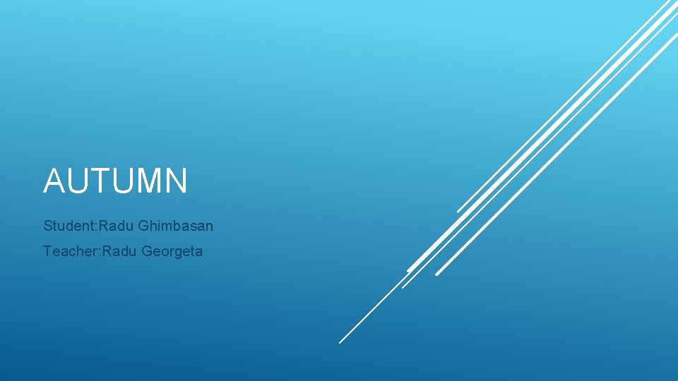 AUTUMN Student: Radu Ghimbasan Teacher: Radu Georgeta 