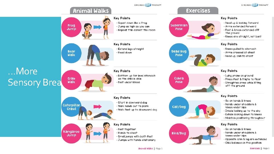 …More Sensory Breaks 