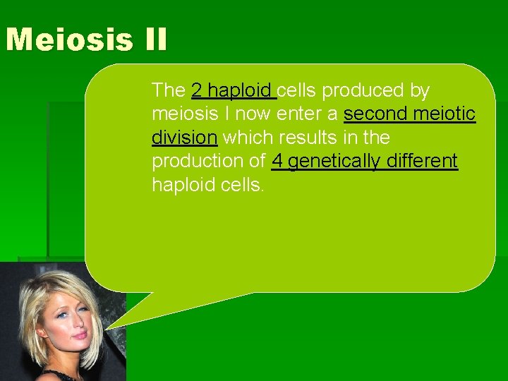 Meiosis II The 2 haploid cells produced by meiosis I now enter a second