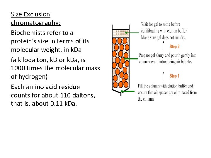 Size Exclusion chromatography: Biochemists refer to a protein's size in terms of its molecular
