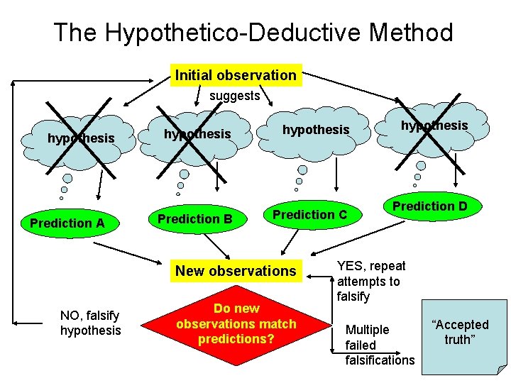 The Hypothetico-Deductive Method Initial observation suggests hypothesis Prediction A hypothesis Prediction B Prediction C