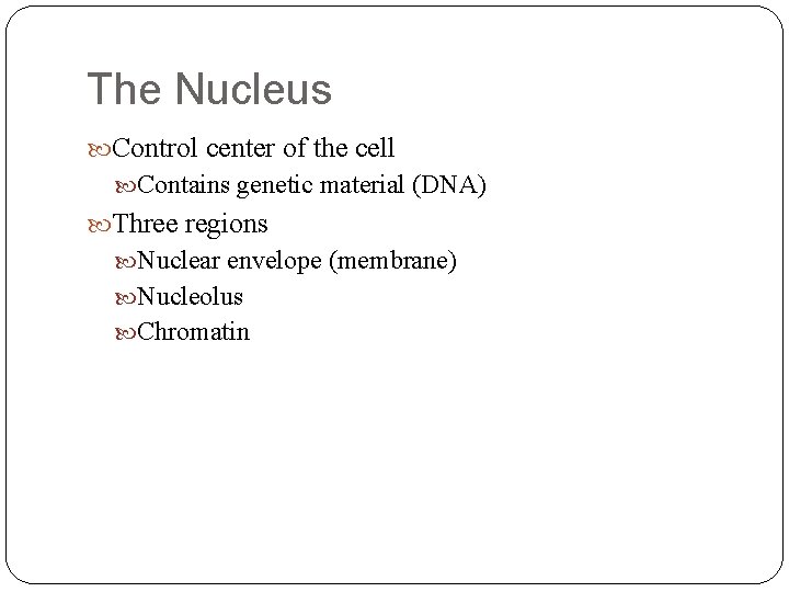 The Nucleus Control center of the cell Contains genetic material (DNA) Three regions Nuclear