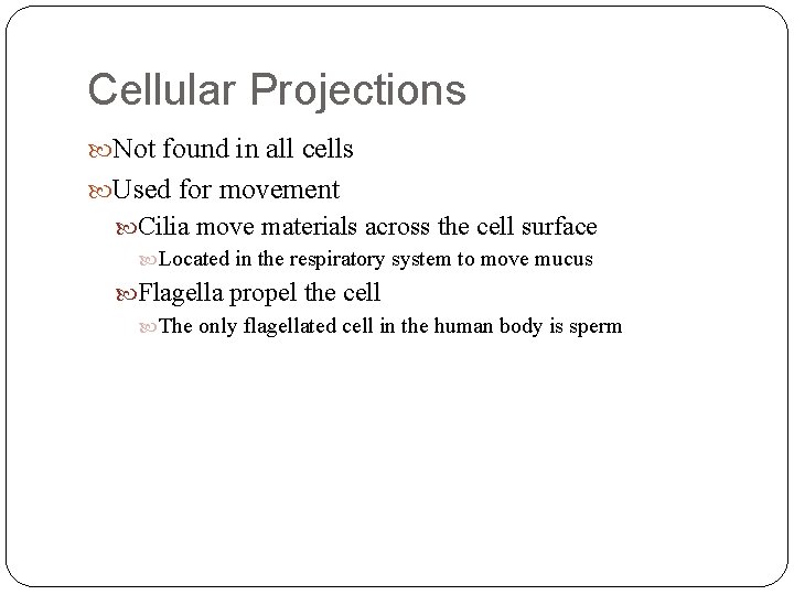 Cellular Projections Not found in all cells Used for movement Cilia move materials across