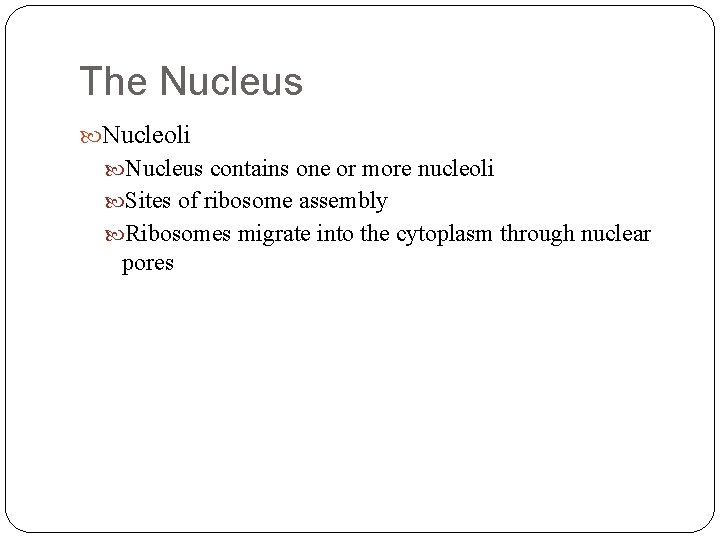 The Nucleus Nucleoli Nucleus contains one or more nucleoli Sites of ribosome assembly Ribosomes