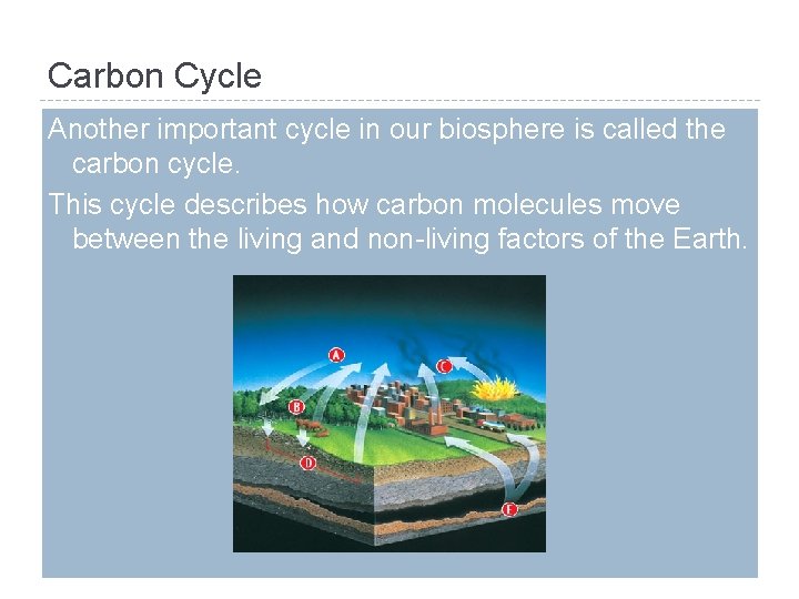 Carbon Cycle Another important cycle in our biosphere is called the carbon cycle. This